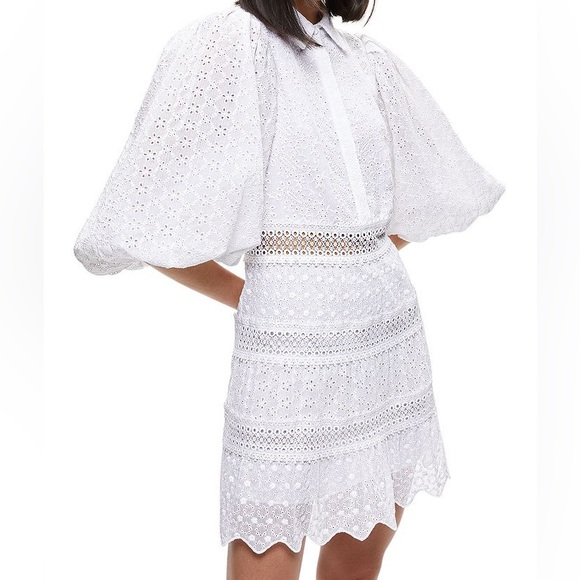 Alice + Olivia Blakesly Mini Dress Eyelet - Picture 1 of 5